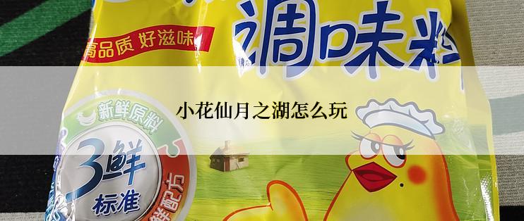 小花仙月之湖怎么玩