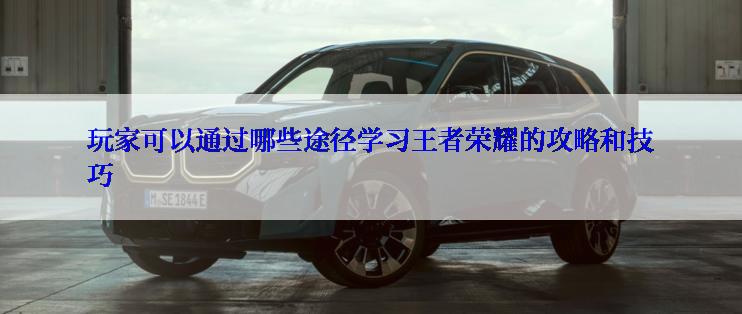 玩家可以通过哪些途径学习王者荣耀的攻略和技巧