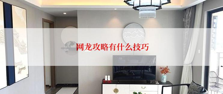  网龙攻略有什么技巧