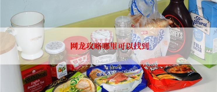  网龙攻略哪里可以找到