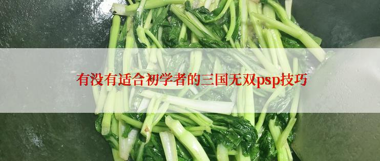  有没有适合初学者的三国无双psp技巧