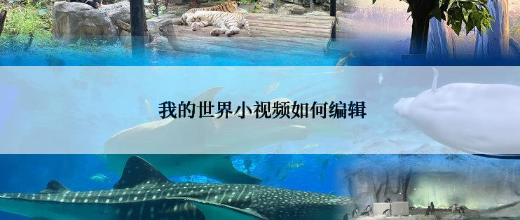  我的世界小视频如何编辑