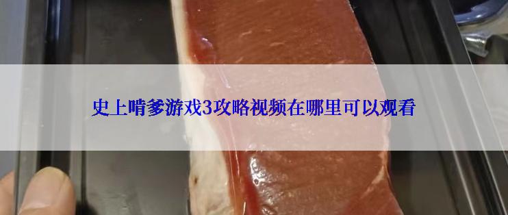 史上啃爹游戏3攻略视频在哪里可以观看