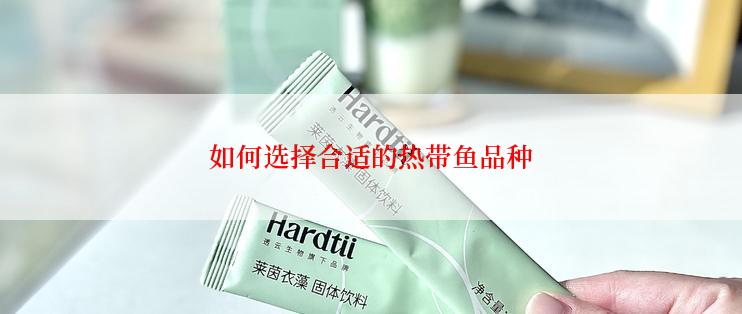 如何选择合适的热带鱼品种