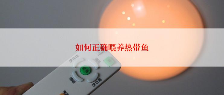 如何正确喂养热带鱼