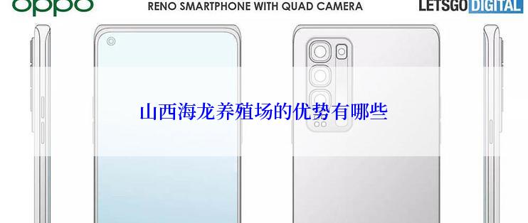 山西海龙养殖场的优势有哪些