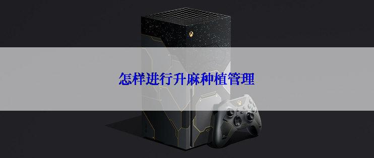 怎样进行升麻种植管理