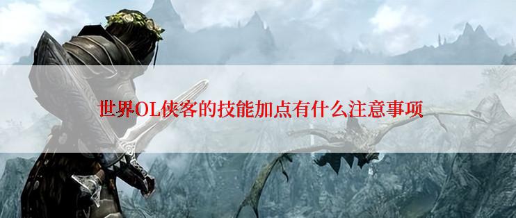 世界OL侠客的技能加点有什么注意事项