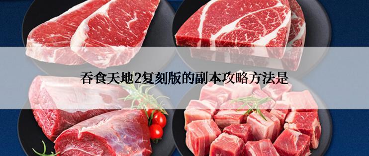吞食天地2复刻版的副本攻略方法是