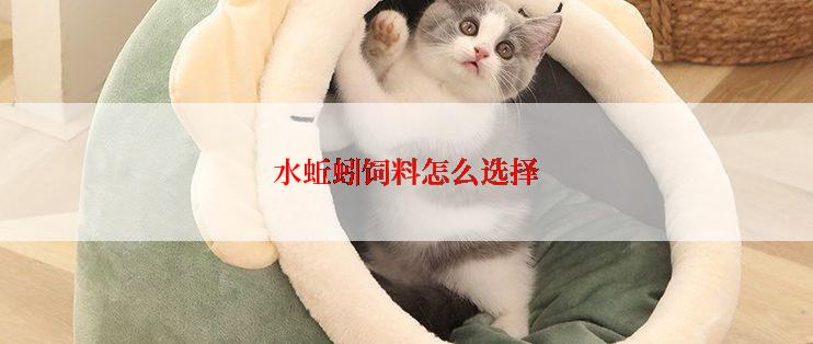 水蚯蚓饲料怎么选择