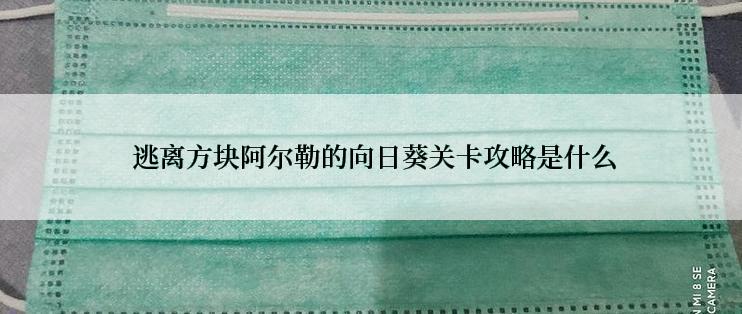  逃离方块阿尔勒的向日葵关卡攻略是什么