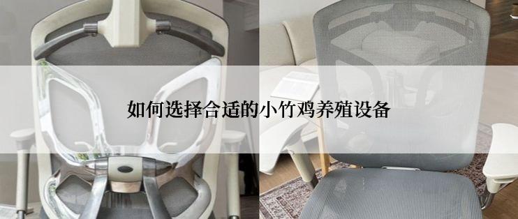 如何选择合适的小竹鸡养殖设备