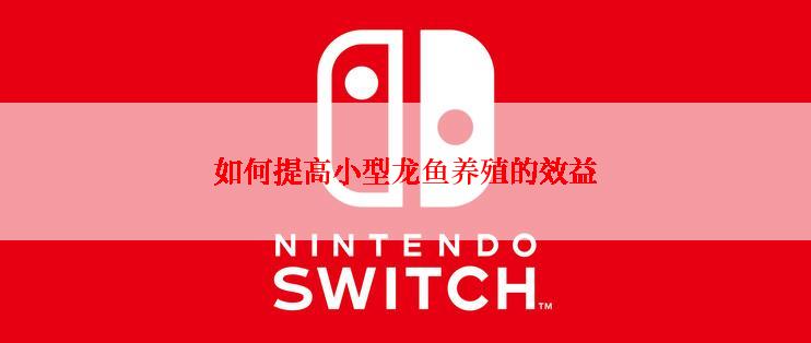 如何提高小型龙鱼养殖的效益