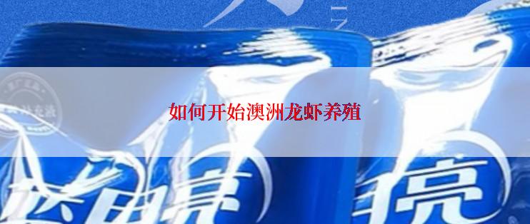 如何开始澳洲龙虾养殖