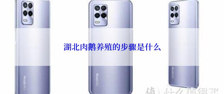 湖北肉鹅养殖的步骤是什么