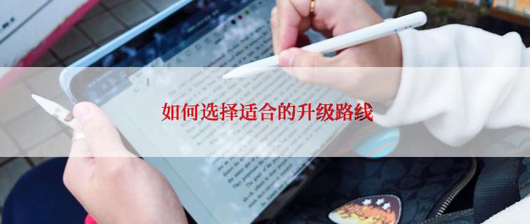  如何选择适合的升级路线