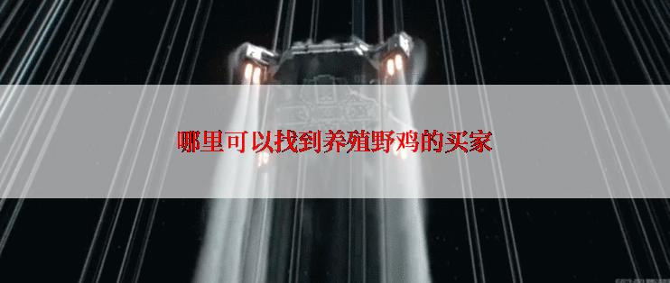 哪里可以找到养殖野鸡的买家
