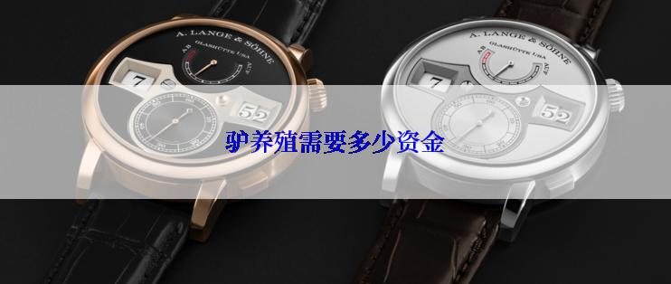 驴养殖需要多少资金