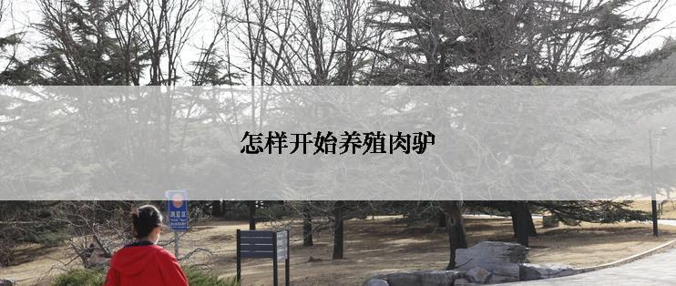 怎样开始养殖肉驴