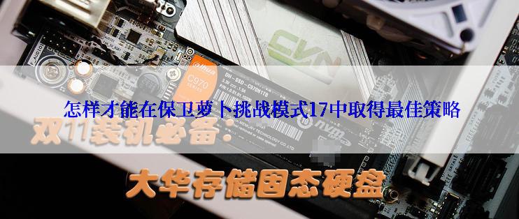  怎样才能在保卫萝卜挑战模式17中取得最佳策略