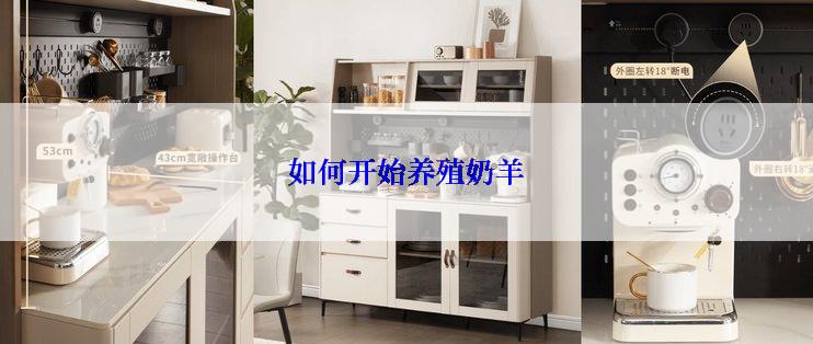 如何开始养殖奶羊