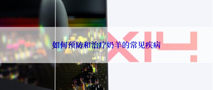 如何预防和治疗奶羊的常见疾病