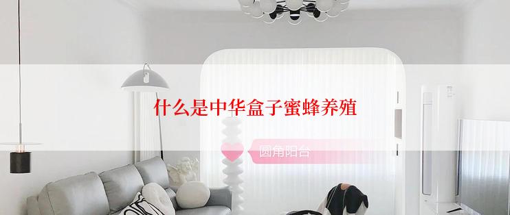 什么是中华盒子蜜蜂养殖