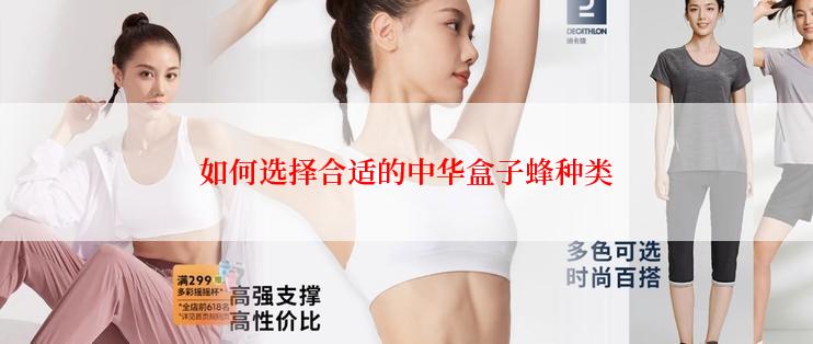 如何选择合适的中华盒子蜂种类