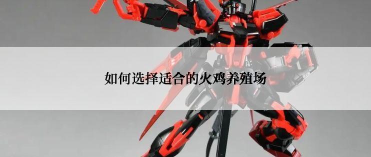 如何选择适合的火鸡养殖场