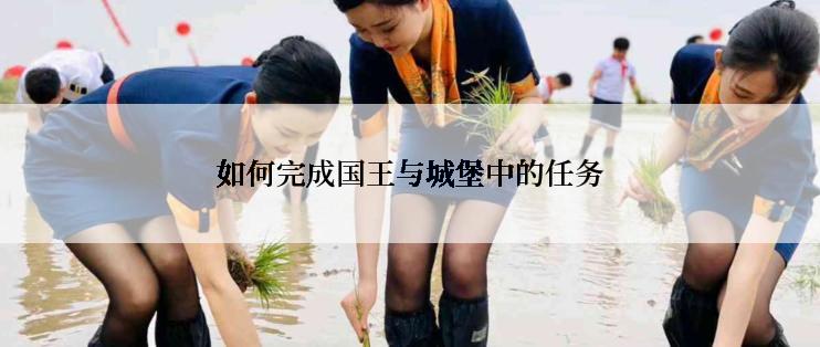 如何完成国王与城堡中的任务