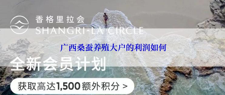  广西桑蚕养殖大户的利润如何