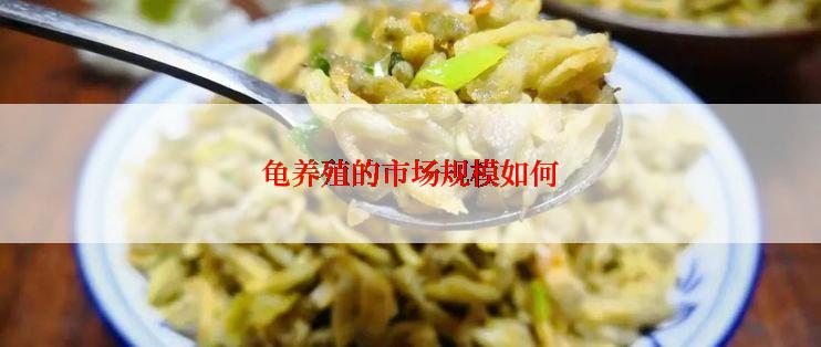 龟养殖的市场规模如何