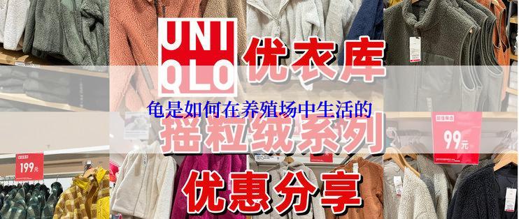 龟是如何在养殖场中生活的