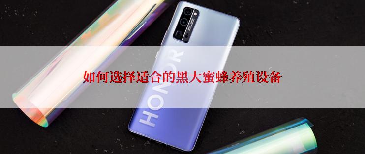 如何选择适合的黑大蜜蜂养殖设备