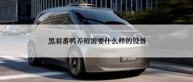  黑羽番鸭养殖需要什么样的设备