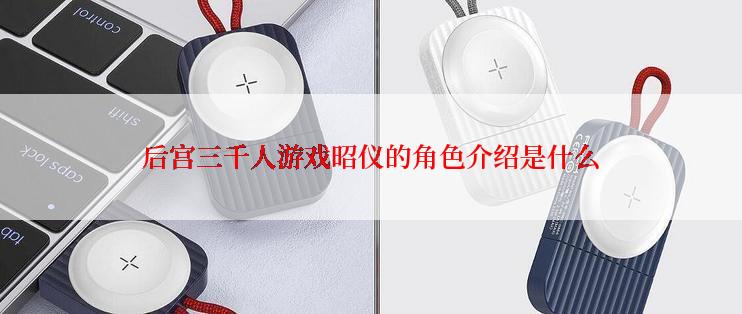 后宫三千人游戏昭仪的角色介绍是什么