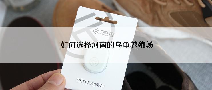  如何选择河南的乌龟养殖场