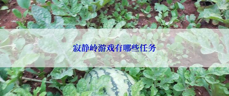 寂静岭游戏有哪些任务