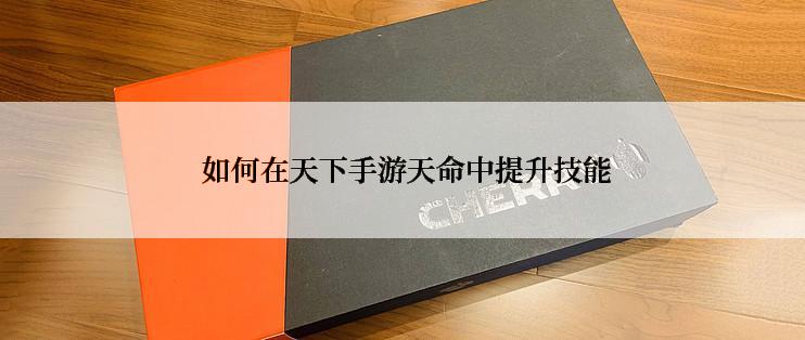  如何在天下手游天命中提升技能