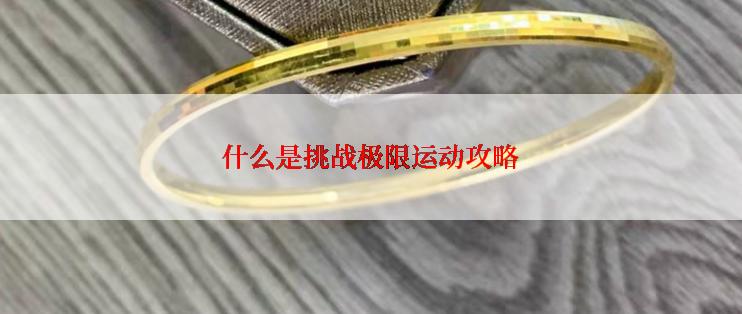 什么是挑战极限运动攻略