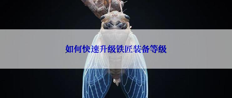 如何快速升级铁匠装备等级