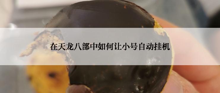 在天龙八部中如何让小号自动挂机