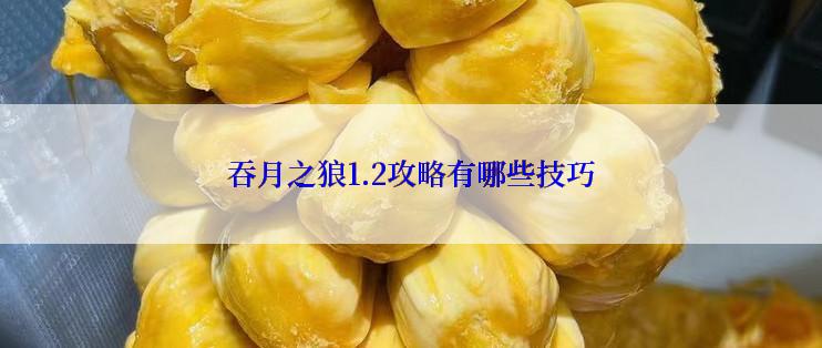 吞月之狼1.2攻略有哪些技巧