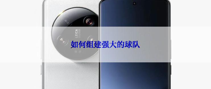 如何组建强大的球队