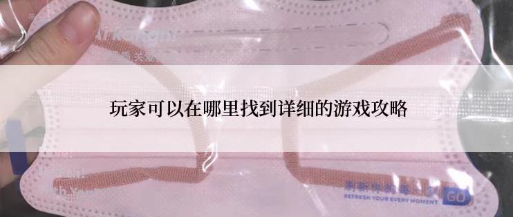  玩家可以在哪里找到详细的游戏攻略