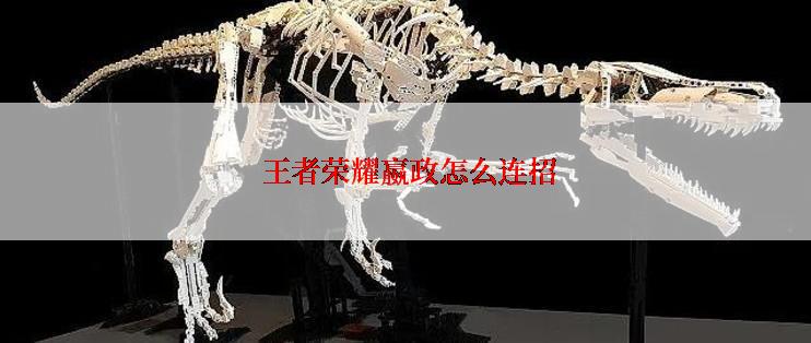  王者荣耀嬴政怎么连招