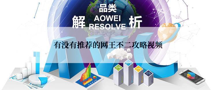  有没有推荐的网王不二攻略视频
