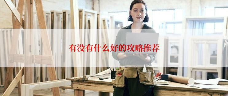 有没有什么好的攻略推荐