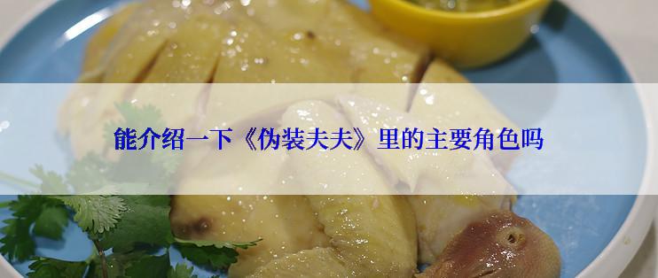 能介绍一下《伪装夫夫》里的主要角色吗