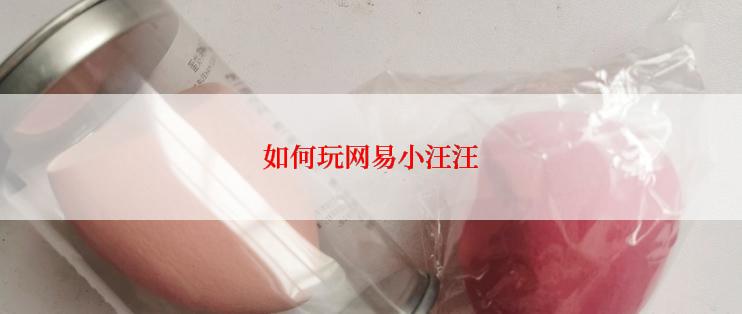 如何玩网易小汪汪